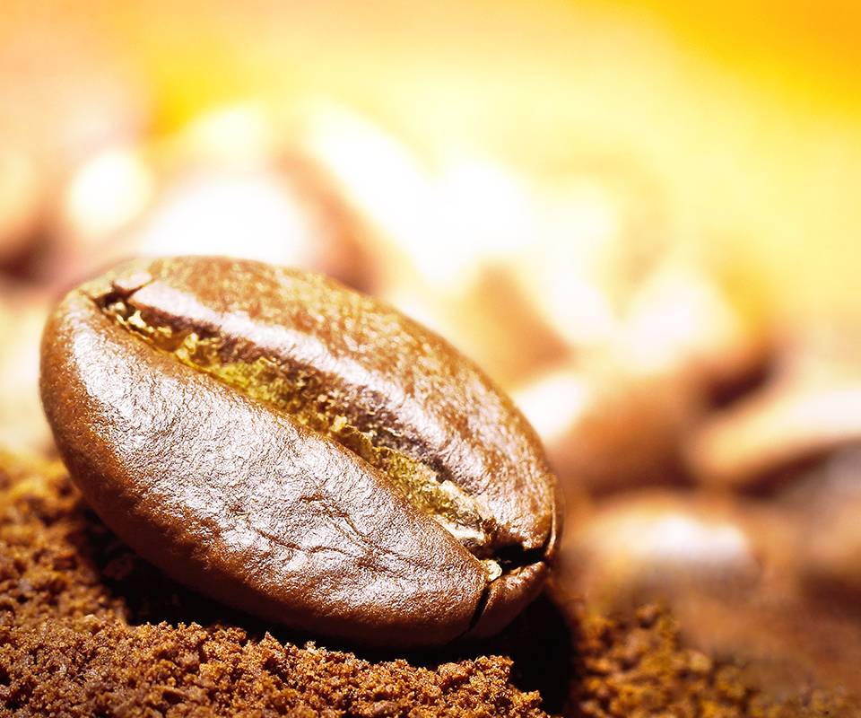 Arabic coffee beans on the golden light beam